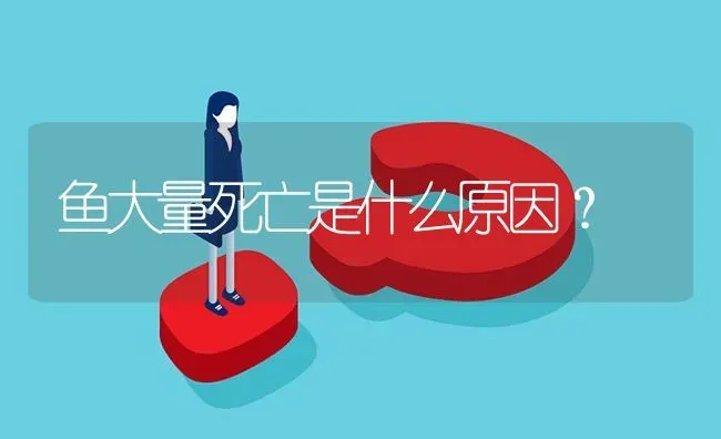 鱼大量死亡是什么原因? | 养殖问题解答