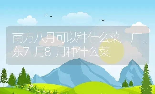 南方八月可以种什么菜,广东7月8月种什么菜 | 养殖常见问题