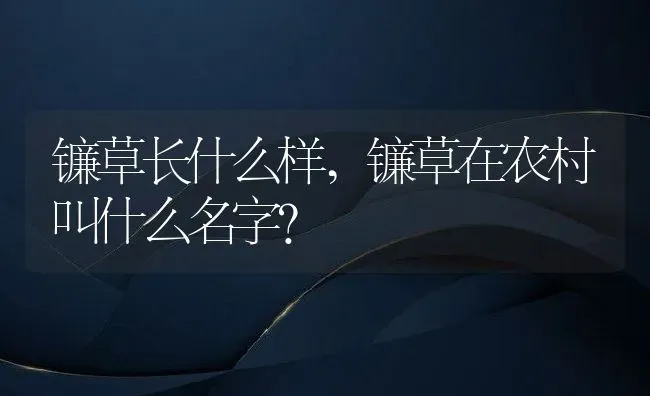 镰草长什么样,镰草在农村叫什么名字？ | 养殖常见问题