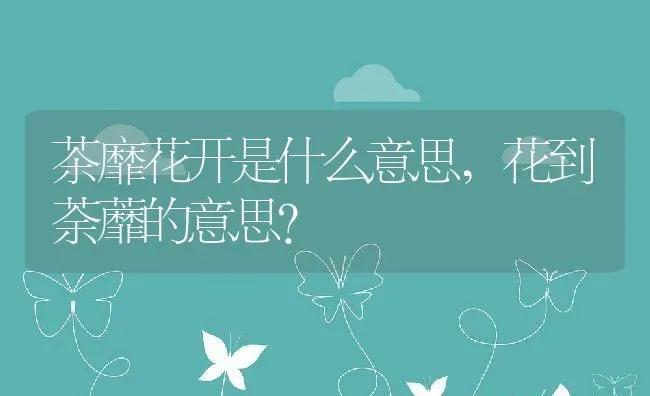 茶靡花开是什么意思,花到荼蘼的意思？ | 养殖常见问题