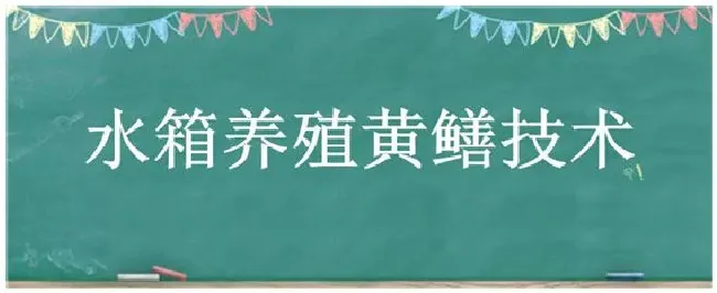 水箱养殖黄鳝技术 | 科普知识