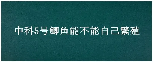 中科5号鲫鱼能不能自己繁殖 | 农业常识