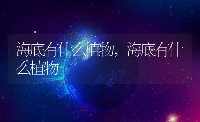 海底有什么植物,海底有什么植物 | 养殖常见问题