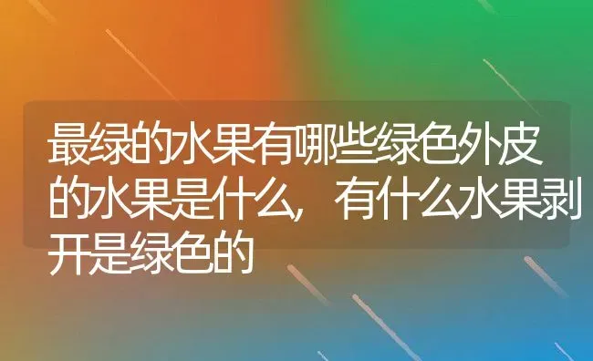 最绿的水果有哪些绿色外皮的水果是什么,有什么水果剥开是绿色的 | 养殖常见问题