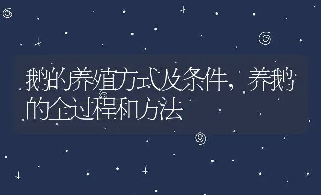 鹅的养殖方式及条件,养鹅的全过程和方法 | 养殖常见问题