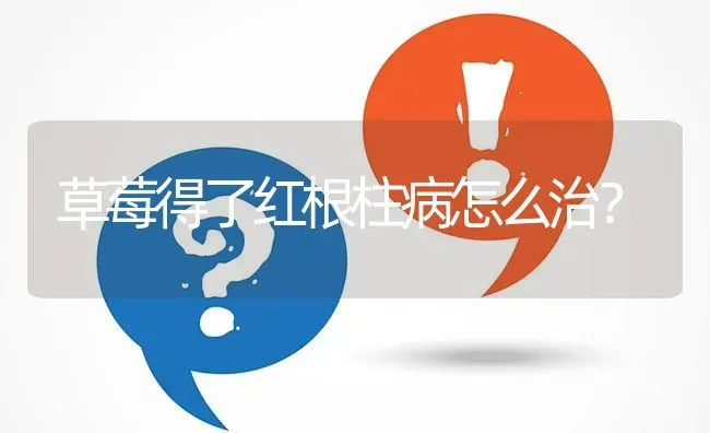 草莓得了红根柱病怎么治? | 养殖问题解答