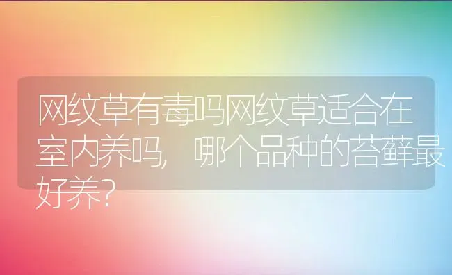 网纹草有毒吗网纹草适合在室内养吗,哪个品种的苔藓最好养？ | 养殖常见问题