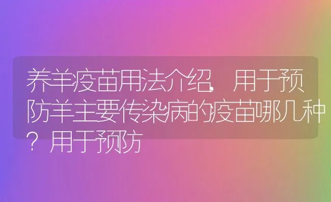 甜宝草莓的管理方法,草莓养殖方法和注意事项盆栽 | 养殖常见问题
