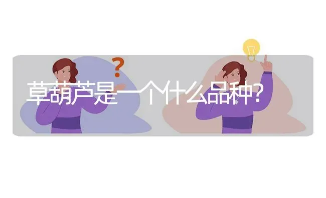 草葫芦是一个什么品种? | 养殖问题解答