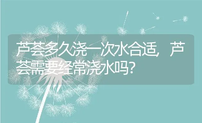 芦荟多久浇一次水合适,芦荟需要经常浇水吗？ | 养殖常见问题