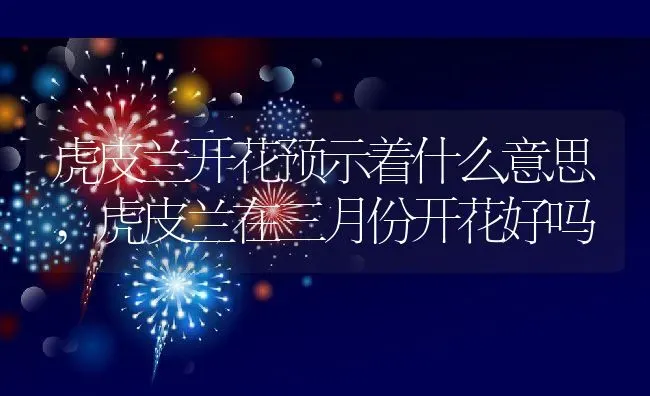虎皮兰开花预示着什么意思,虎皮兰在三月份开花好吗 | 养殖常见问题