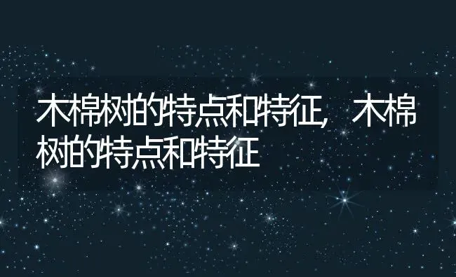 木棉树的特点和特征,木棉树的特点和特征 | 养殖常见问题