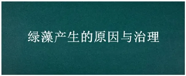 绿藻产生的原因与治理 | 三农问答