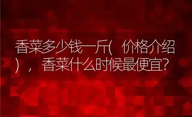 香菜多少钱一斤(价格介绍),香菜什么时候最便宜？ | 养殖常见问题