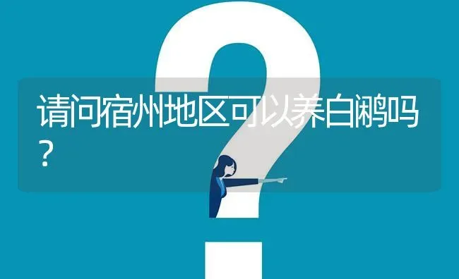 请问宿州地区可以养白鹇吗? | 养殖问题解答