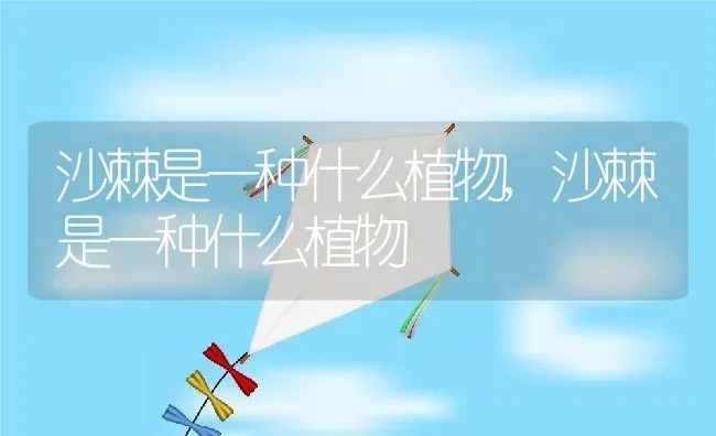 沙棘是一种什么植物,沙棘是一种什么植物 | 养殖常见问题