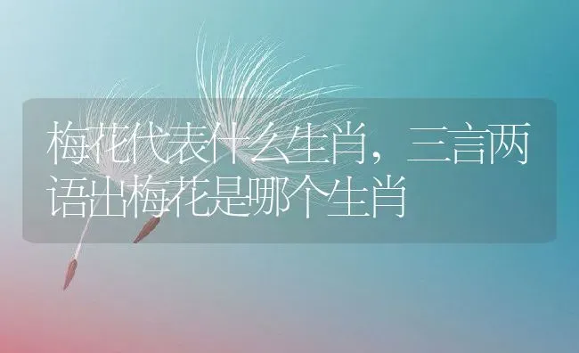 梅花代表什么生肖,三言两语出梅花是哪个生肖 | 养殖常见问题