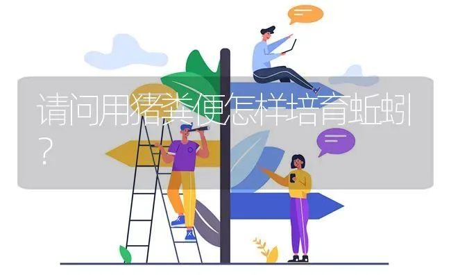 请问用猪粪便怎样培育蚯蚓? | 养殖问题解答