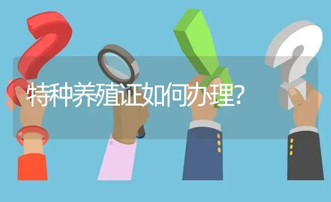 特种养殖证如何办理? | 养殖问题解答