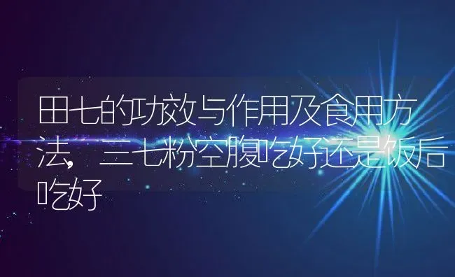 田七的功效与作用及食用方法,三七粉空腹吃好还是饭后吃好 | 养殖常见问题