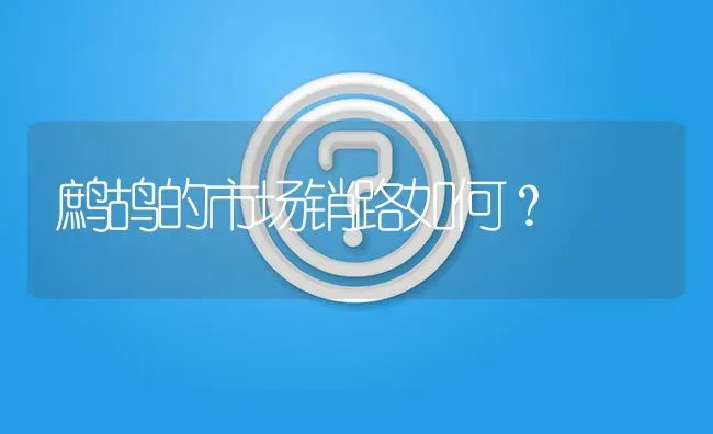 鹧鸪的市场销路如何? | 养殖问题解答