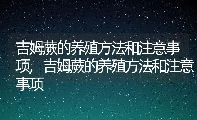 吉姆蕨的养殖方法和注意事项,吉姆蕨的养殖方法和注意事项 | 养殖常见问题