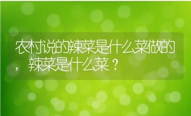农村说的辣菜是什么菜做的,辣菜是什么菜？ | 养殖常见问题