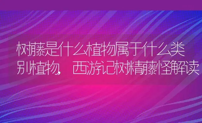 树藤是什么植物属于什么类别植物,西游记树精藤怪解读 | 养殖常见问题