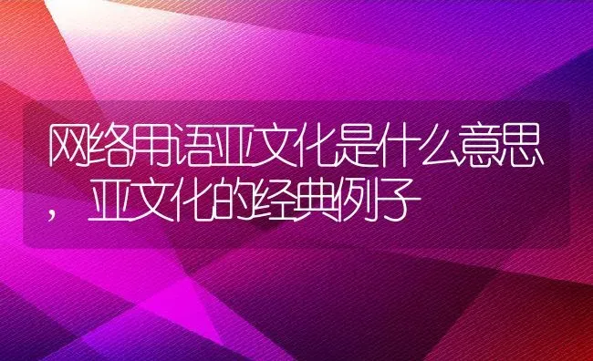 网络用语亚文化是什么意思,亚文化的经典例子 | 养殖常见问题