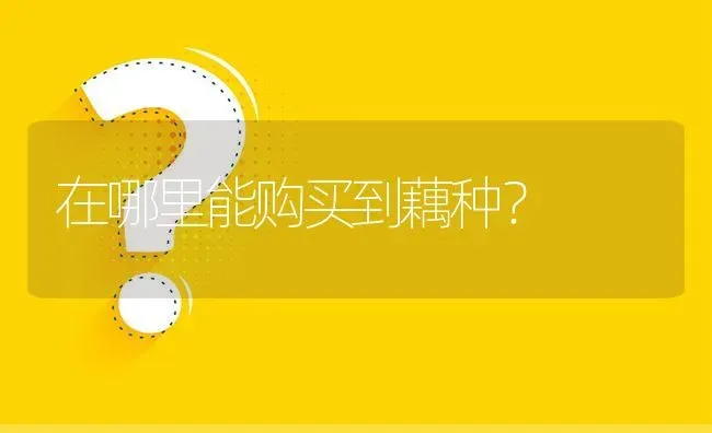 在哪里能购买到藕种? | 养殖问题解答