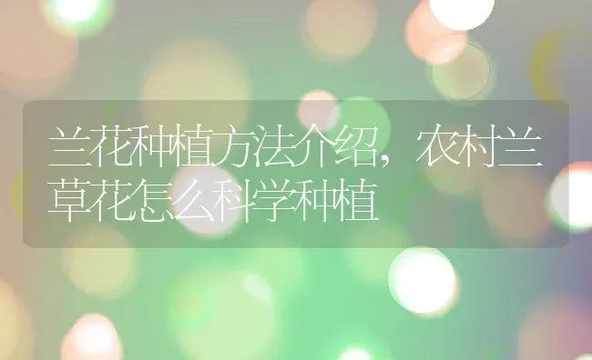 兰花种植方法介绍,农村兰草花怎么科学种植 | 养殖常见问题