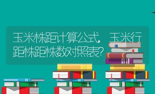 玉米株距计算公式,玉米行距株距株数对照表？ | 养殖常见问题