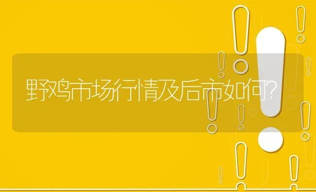 野鸡市场行情及后市如何? | 养殖问题解答