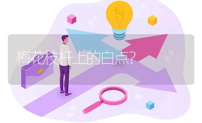 梅花枝杆上的白点? | 养殖问题解答