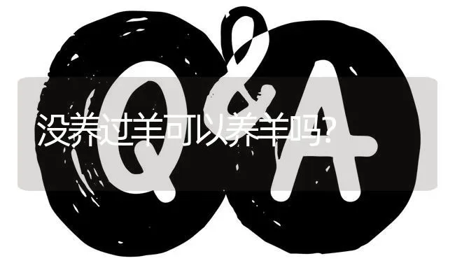 没养过羊可以养羊吗? | 养殖问题解答