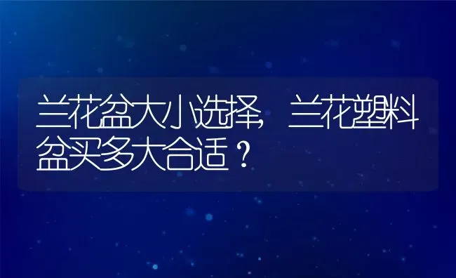 兰花盆大小选择,兰花塑料盆买多大合适？ | 养殖常见问题