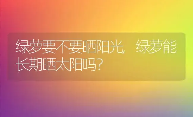 绿萝要不要晒阳光,绿萝能长期晒太阳吗？ | 养殖常见问题