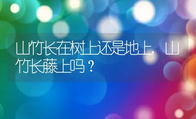 山竹长在树上还是地上,山竹长藤上吗？ | 养殖常见问题