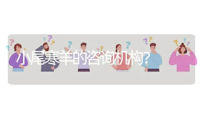 小尾寒羊的咨询机构? | 养殖问题解答