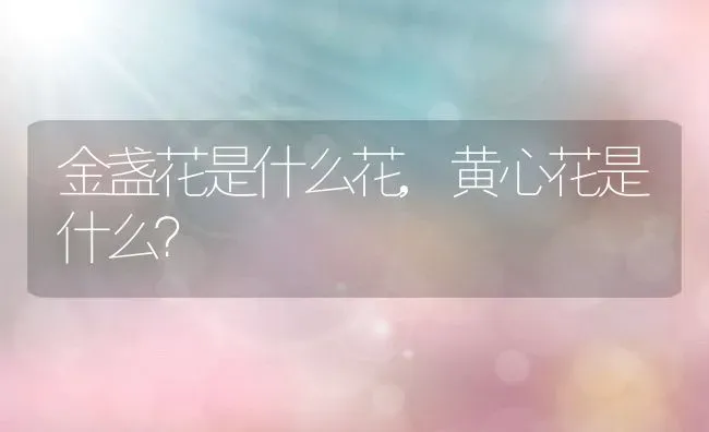 金盏花是什么花,黄心花是什么？ | 养殖常见问题