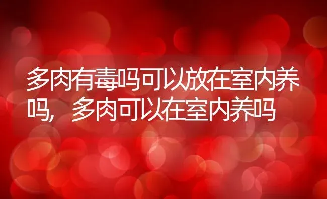 多肉有毒吗可以放在室内养吗,多肉可以在室内养吗 | 养殖常见问题