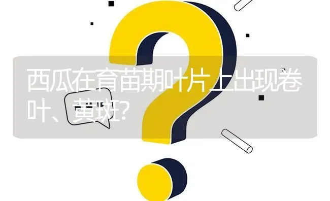 西瓜在育苗期叶片上出现卷叶、黄斑? | 养殖问题解答