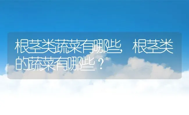 根茎类蔬菜有哪些,根茎类的蔬菜有哪些？ | 养殖常见问题