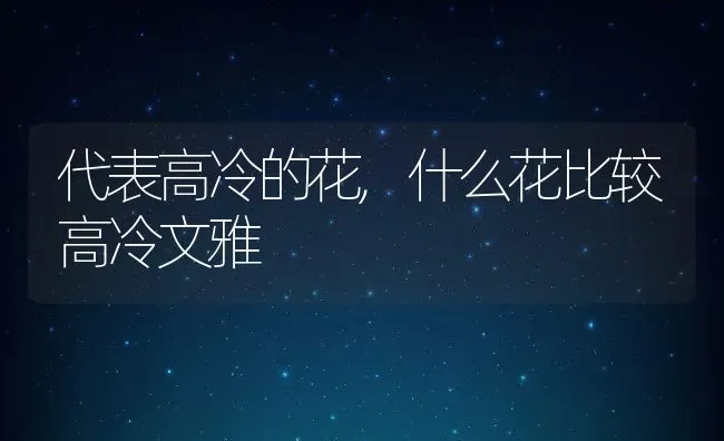 代表高冷的花,什么花比较高冷文雅 | 养殖常见问题