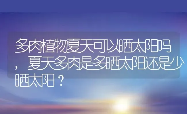 多肉植物夏天可以晒太阳吗,夏天多肉是多晒太阳还是少晒太阳？ | 养殖常见问题