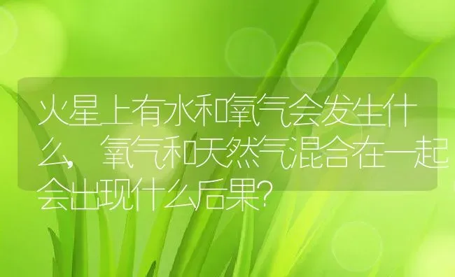 火星上有水和氧气会发生什么,氧气和天然气混合在一起会出现什么后果？ | 养殖常见问题