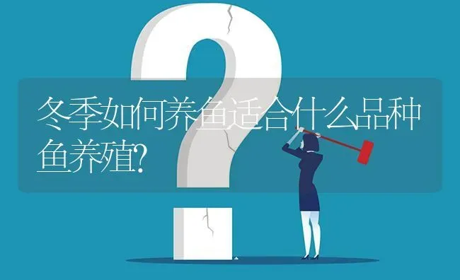 冬季如何养鱼适合什么品种鱼养殖? | 养殖问题解答