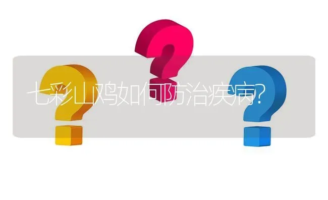 七彩山鸡如何防治疾病? | 养殖问题解答