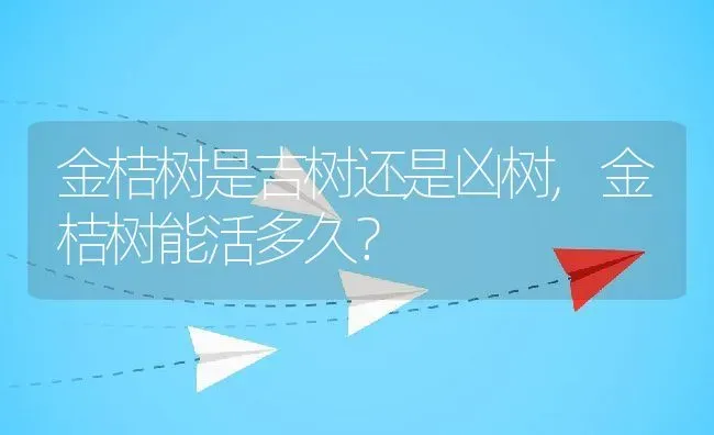 金桔树是吉树还是凶树,金桔树能活多久？ | 养殖常见问题