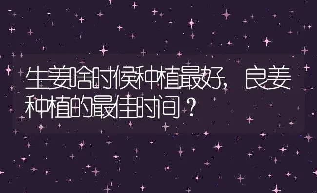生姜啥时候种植最好,良姜种植的最佳时间？ | 养殖常见问题